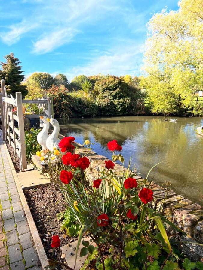 Reynolds Farm Guesthouse Canterbury Luaran gambar